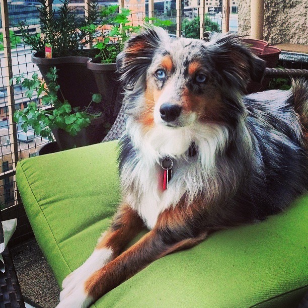 941318_2708867082237_1661660484_n